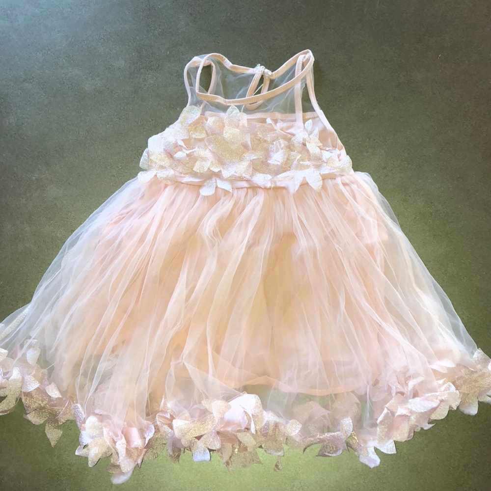 Pink Tulle Dress Ruffles top and trim